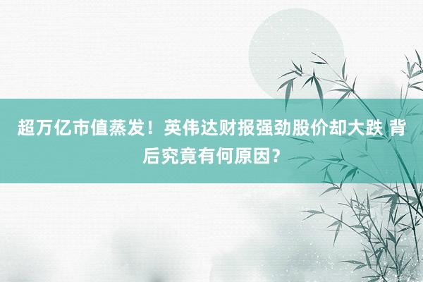 超万亿市值蒸发!英伟达财报强劲股价却大跌 背后究竟有何原因?