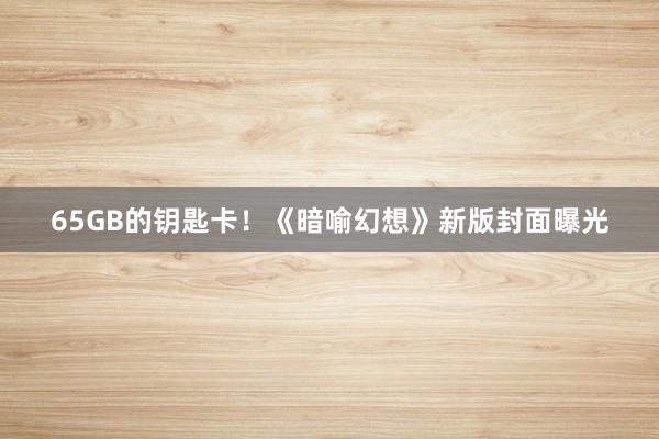 65GB的钥匙卡！《暗喻幻想》新版封面曝光