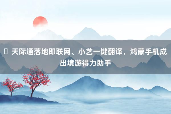 ​天际通落地即联网、小艺一键翻译，鸿蒙手机成出境游得力助手