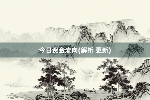 今日资金流向(解析 更新)