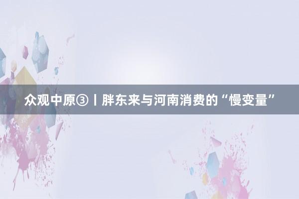 众观中原③丨胖东来与河南消费的“慢变量”