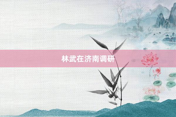 林武在济南调研