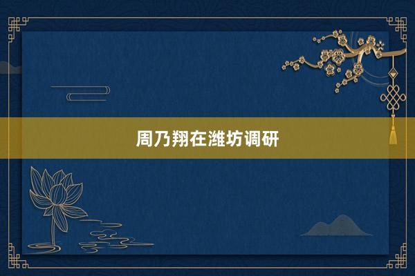 周乃翔在潍坊调研