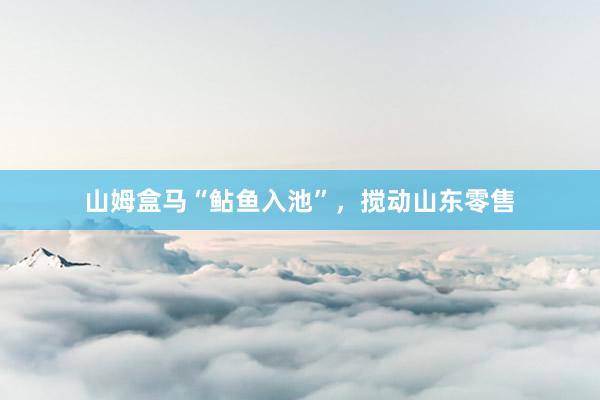 山姆盒马“鲇鱼入池”，搅动山东零售
