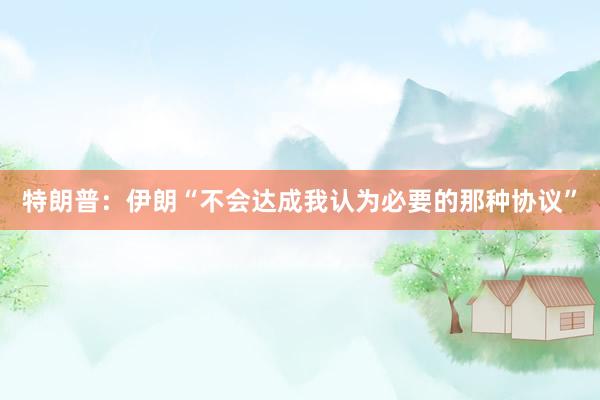 特朗普：伊朗“不会达成我认为必要的那种协议”