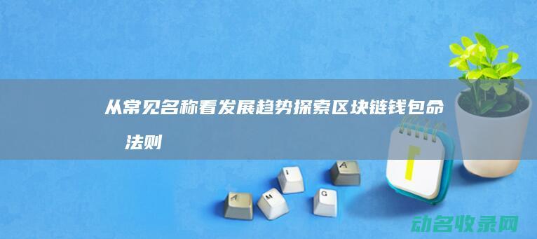 从常见名称看发展趋势 探索区块链钱包命名法则 (常见的名称有)